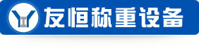 專業(yè)生產(chǎn)電子衡器，電子天平，電子吊秤-杭州友恒稱重設(shè)備有限公司